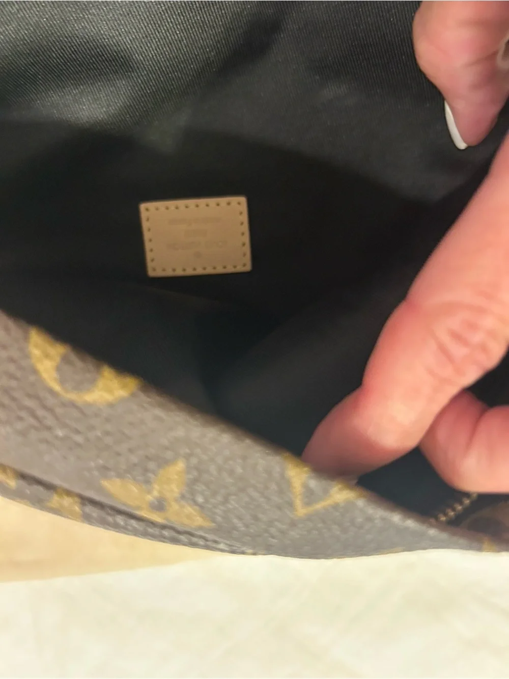 Louis Vuitton Monogram Canvas Crossbody Belt Bag in Brown